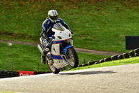 Lower Group White Bikes